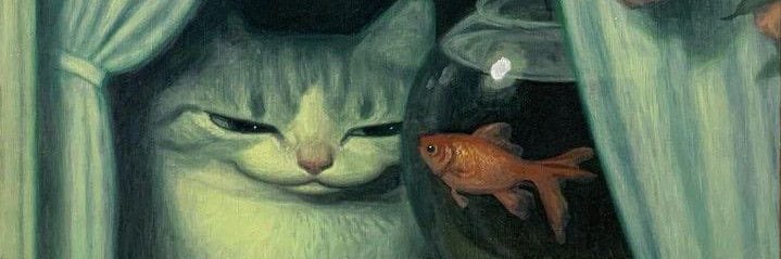 devisnawtok's profile banner image