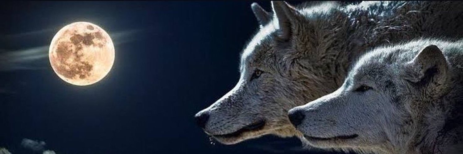 Mutluu1907's profile banner image