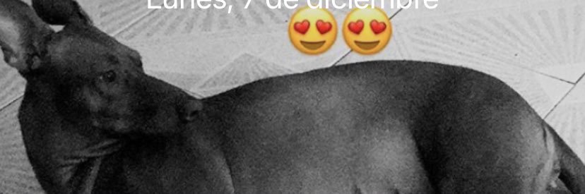 josemi099's profile banner image