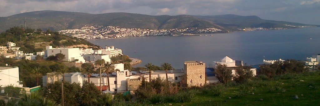 Kareena McAloney-Kocaman banner