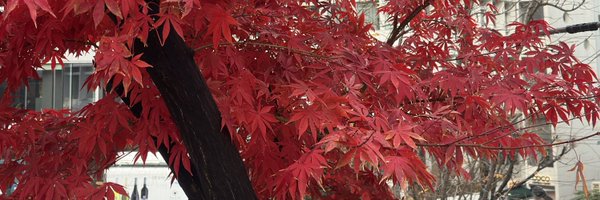 YourKuyaRyan Profile Banner