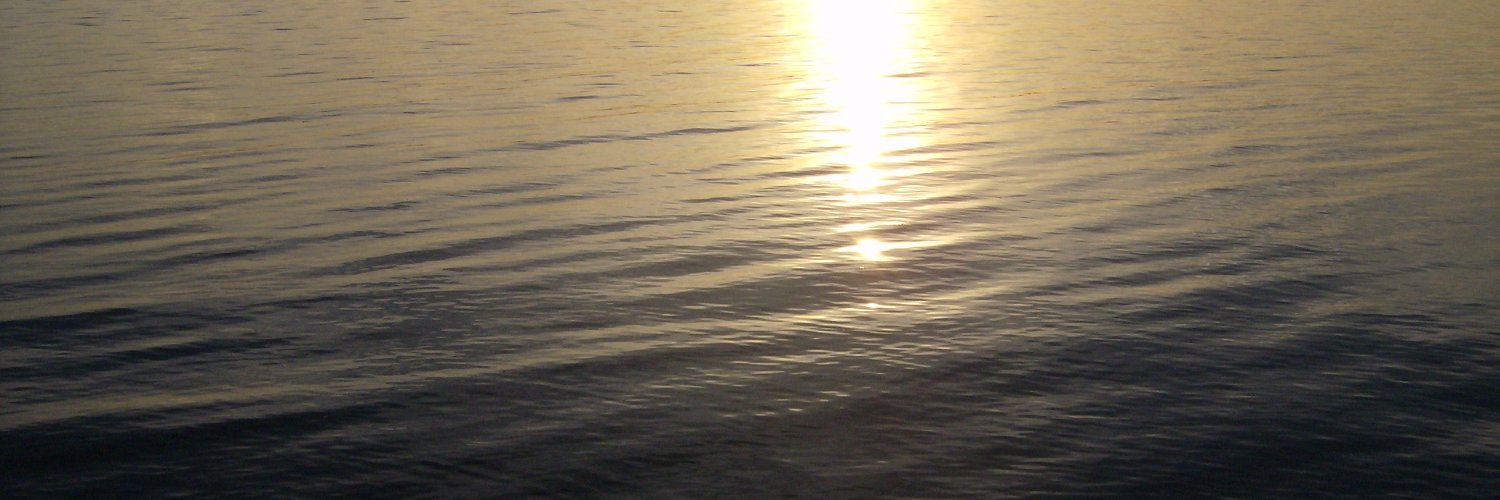 robertstarr's profile banner image