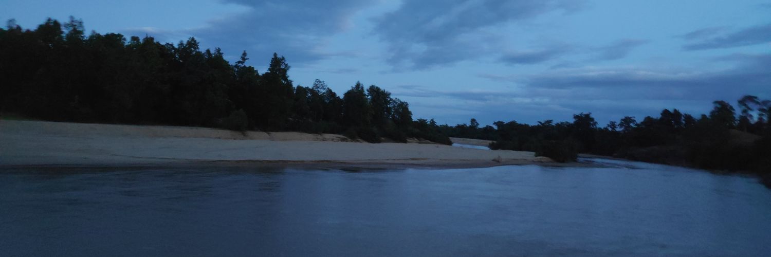 vinaysingtomar's profile banner image