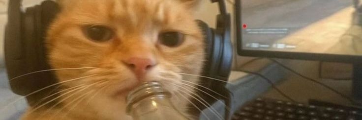 Franz Kafka - SRM banner