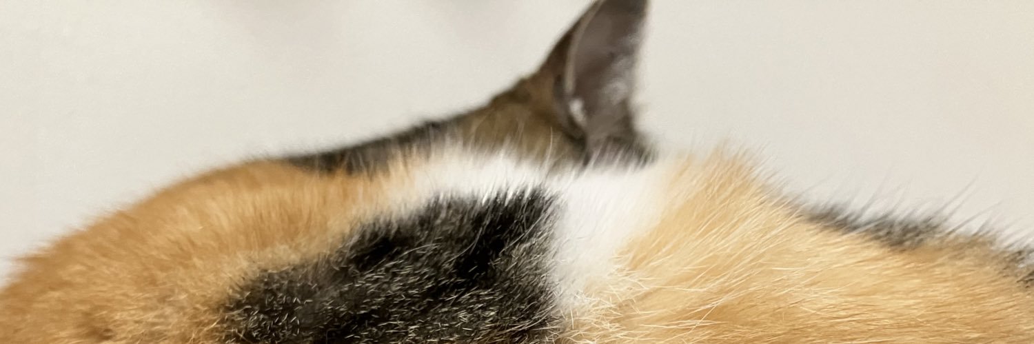 keina banner