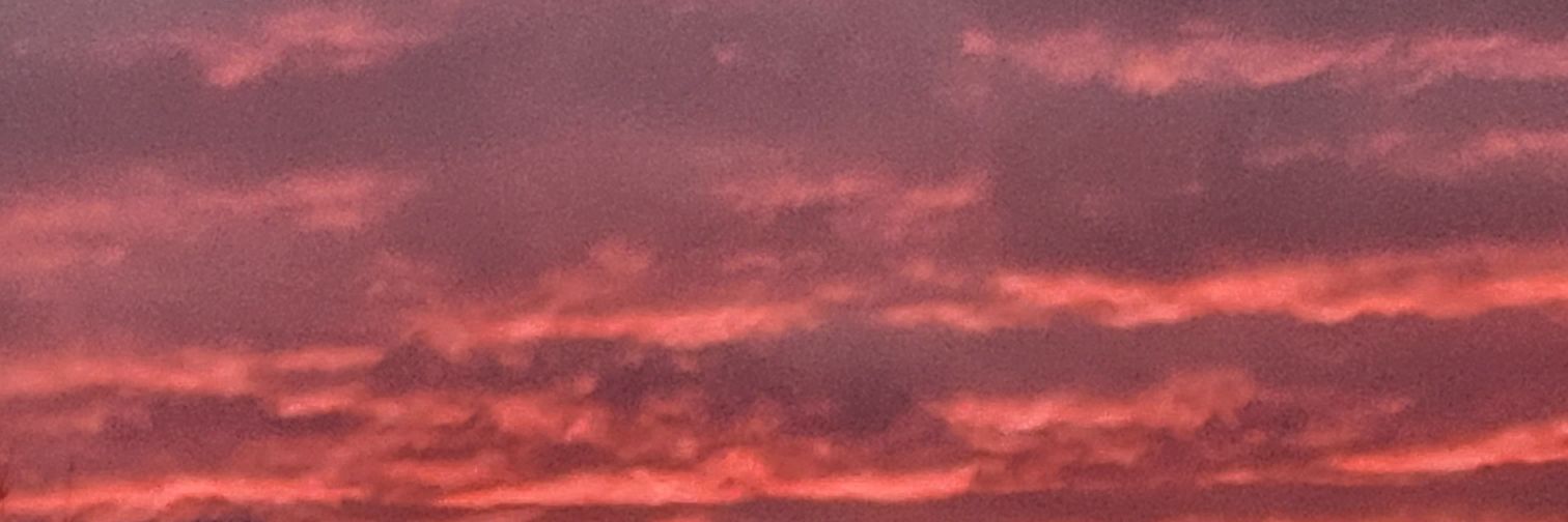 Msbipierce's profile banner image
