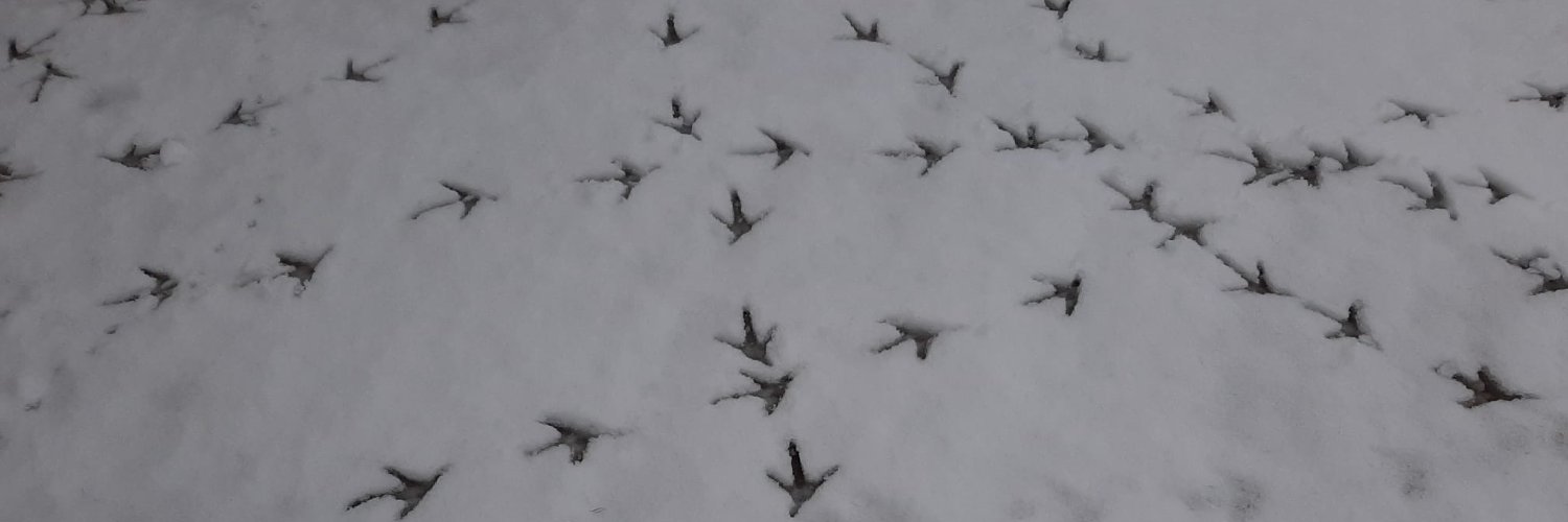 NuriaLopezR's profile banner image