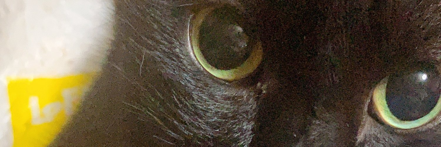 iikotonx2's profile banner image