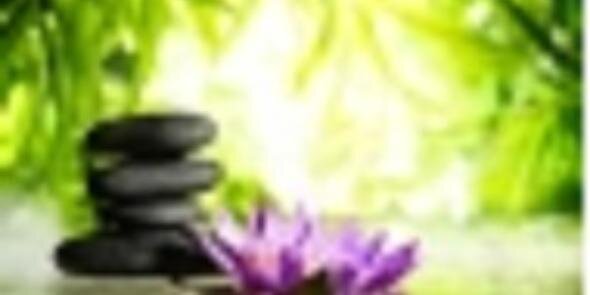 Yogatherapeutin's profile banner image