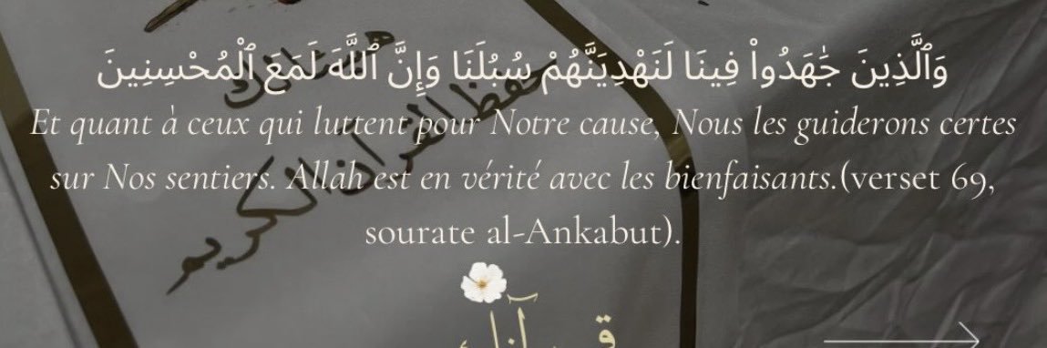 𝒮𝑜𝓀𝒽𝓃𝒶 𝒴🧚🏽‍♀️ banner