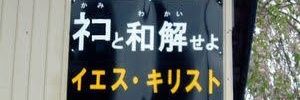 シャチ banner