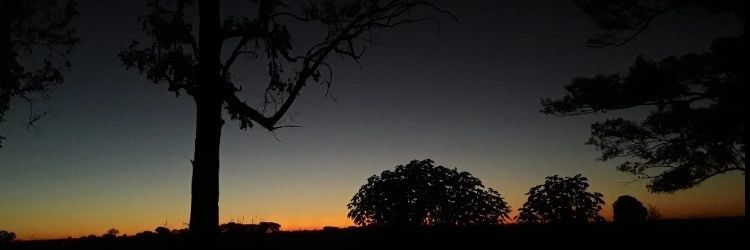 neree_vra's profile banner image