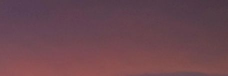 wilddflower1214's profile banner image