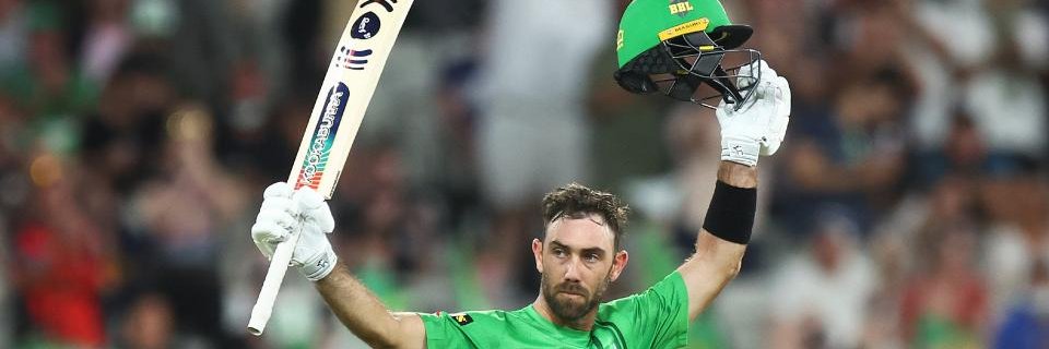 i like cricket banner