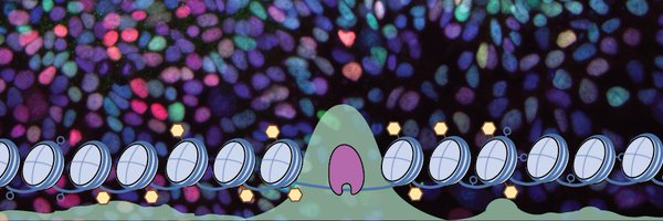 SullivanLab8 Profile Banner