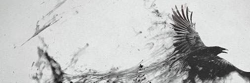 ForoWilliam's profile banner image