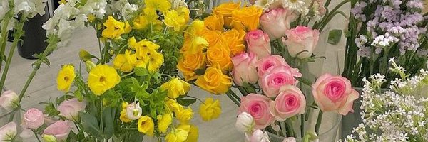 maytoseptember_ Profile Banner