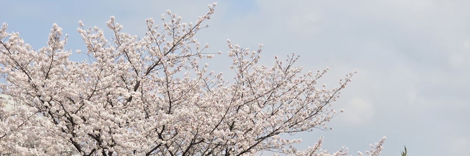 송제호🍅ジェホ banner