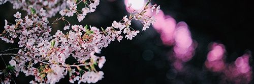 あーみ banner
