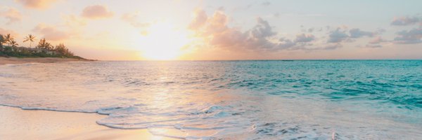 rockmanticvicky Profile Banner