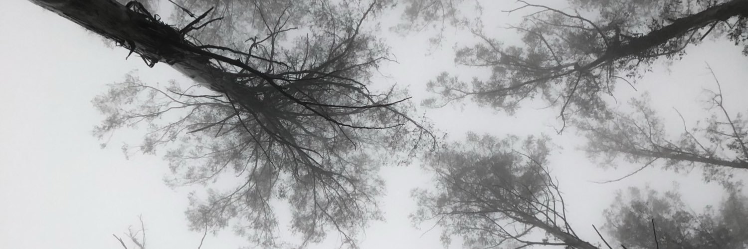marky_moo's profile banner image