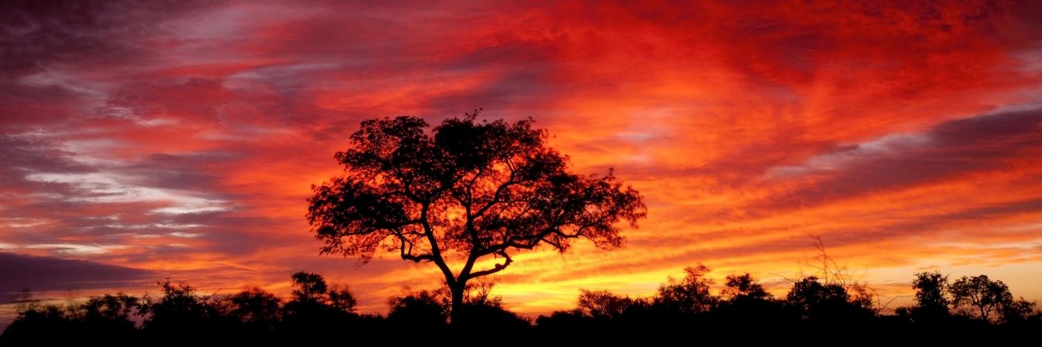 Immigration SA banner