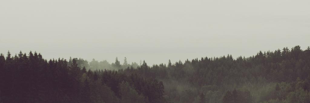 Sjokoloko's profile banner image