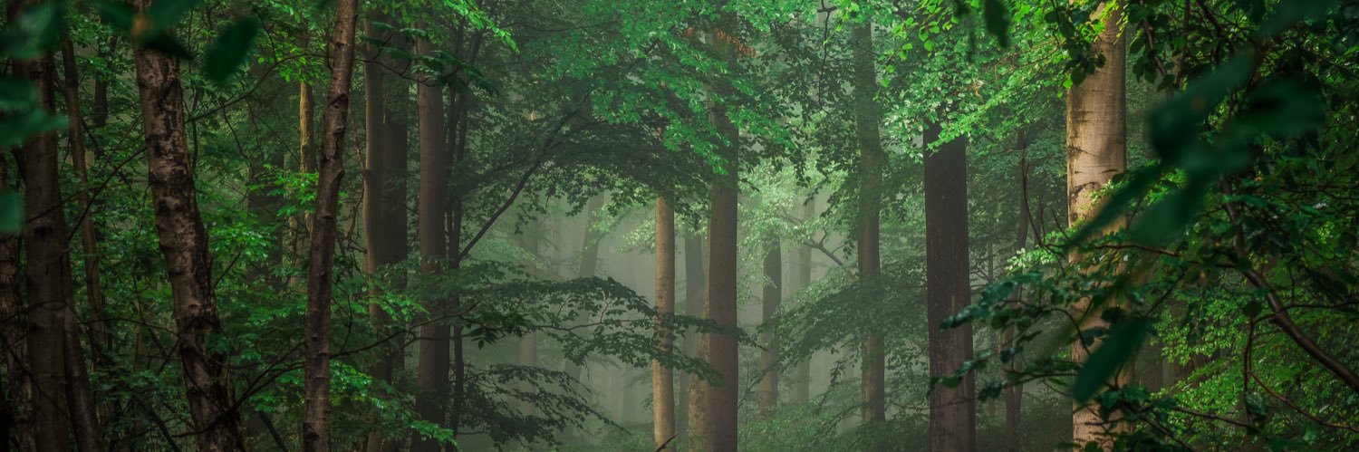 wolokhunt's profile banner image