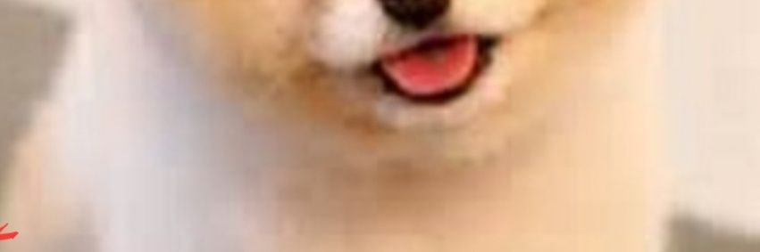 gillphilips141's profile banner image