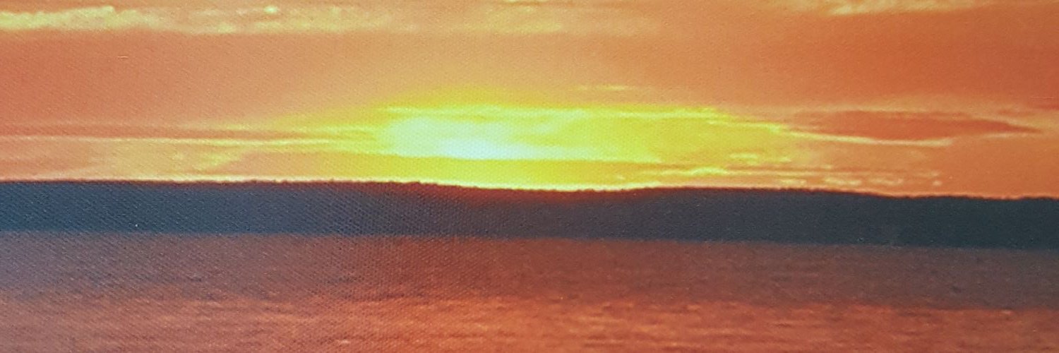 SaundersColette's profile banner image