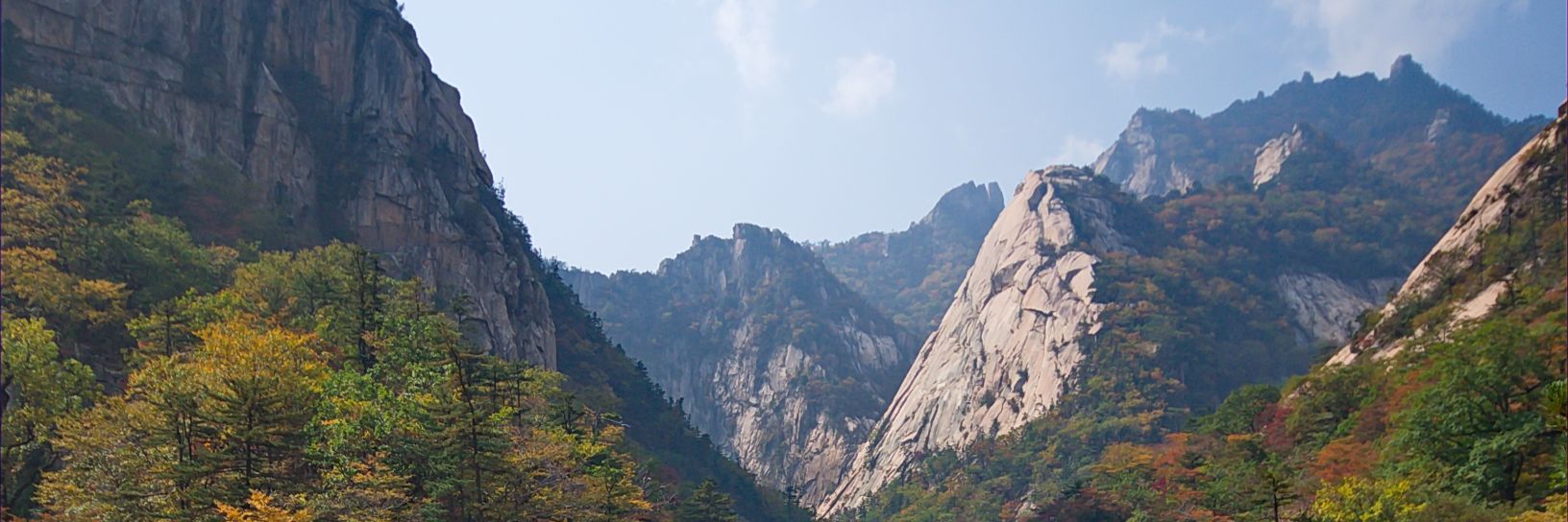 JucheJochen🇰🇵 banner