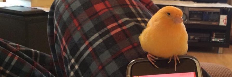 _deds15's profile banner image