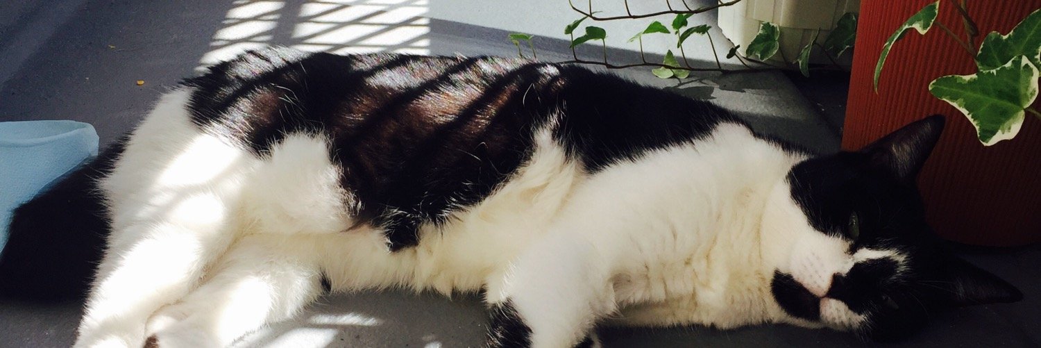 mogwin38's profile banner image