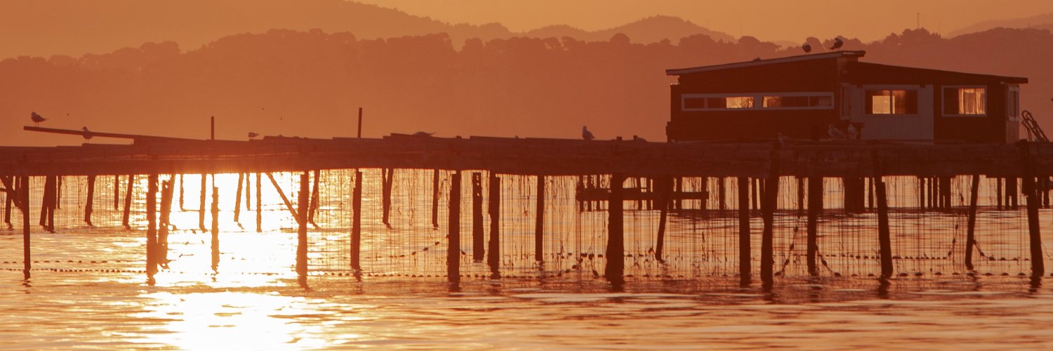 Pierre_SENARD's profile banner image