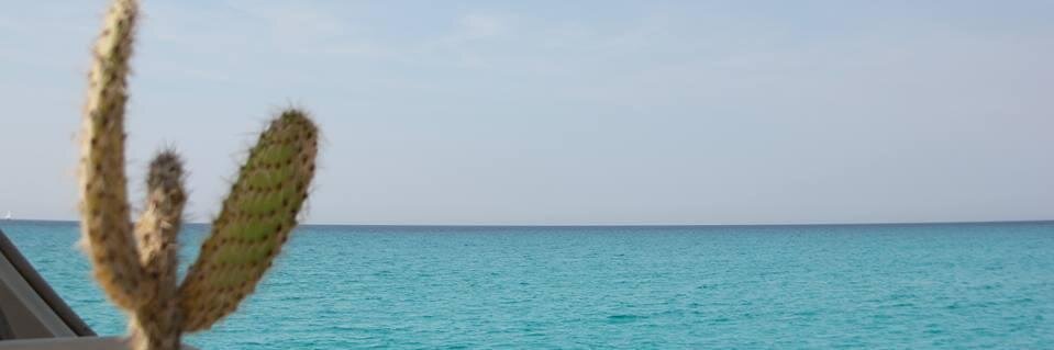 MKristien's profile banner image