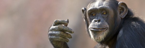 QuentinMCody Profile Banner