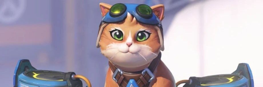 ﾁｬﾊﾟﾃｨ banner