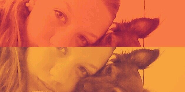 laaurajuaarez17's profile banner image