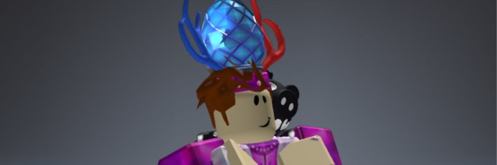 tyler banner