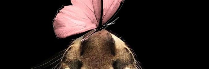 ellyygts's profile banner image