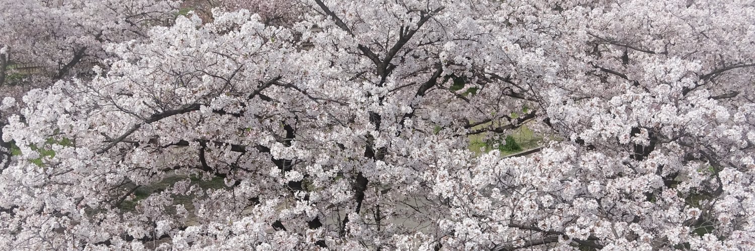 shosuke123's profile banner image