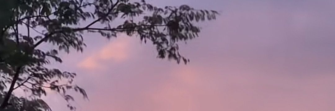 maaitxii's profile banner image