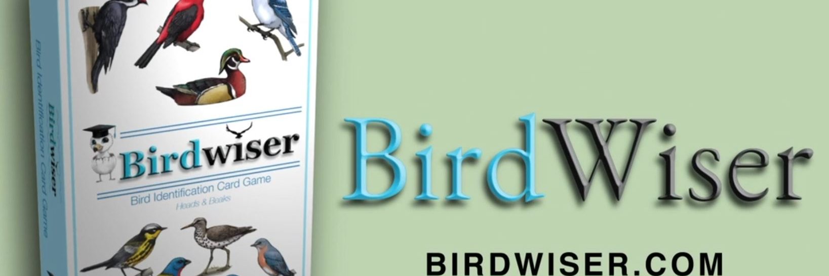 birdwiser's profile banner image