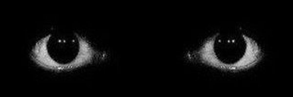 LiquidDogMan Profile Banner