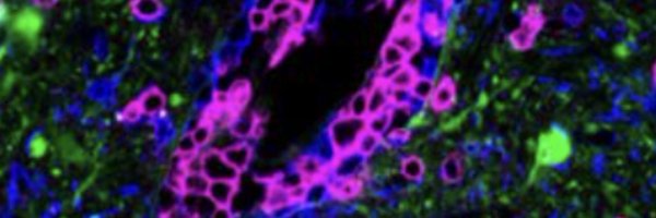 HarmsLabUAB Profile Banner