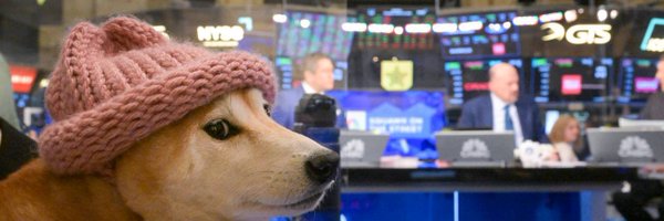 dogwifcoin Profile Banner