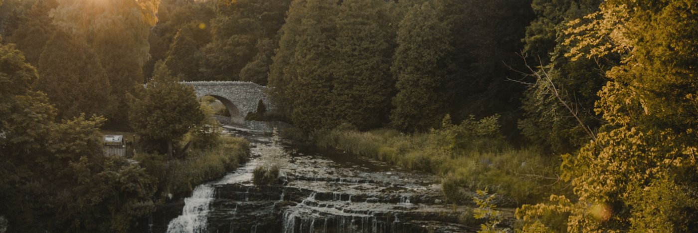 Daniel Rayner banner