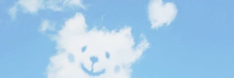 savi banner