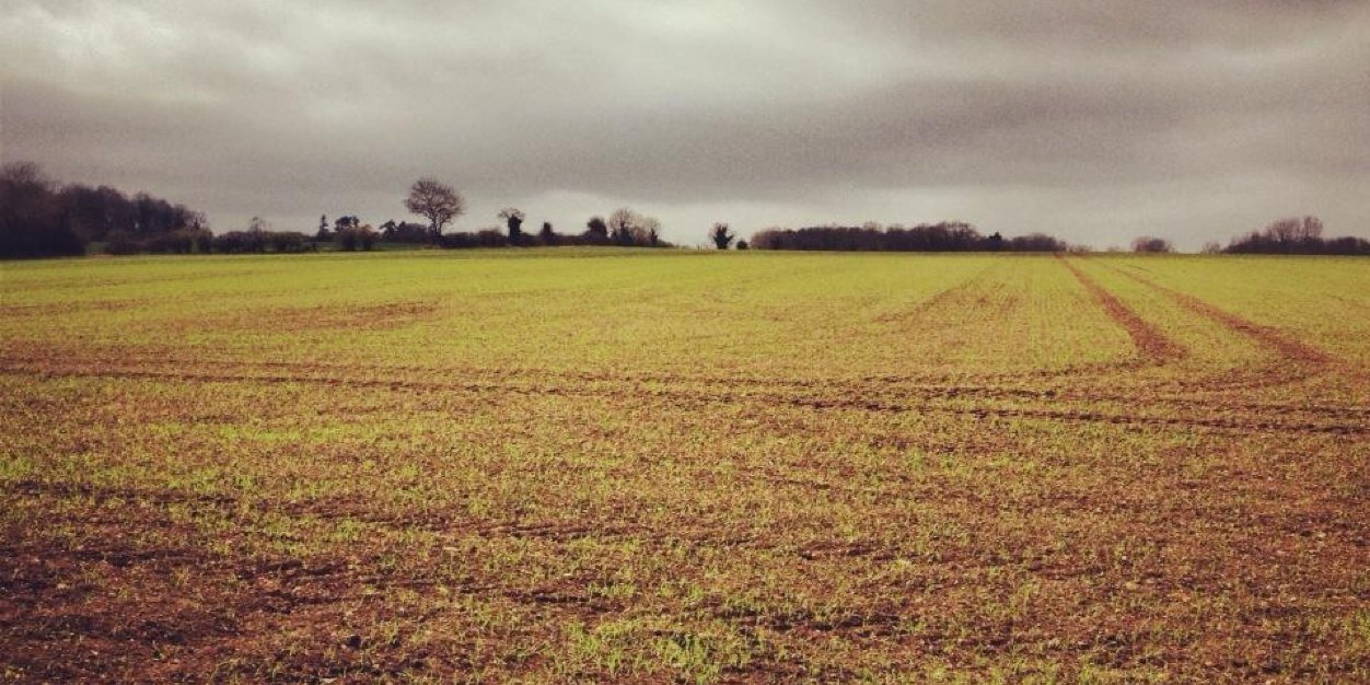 cotswold226's profile banner image
