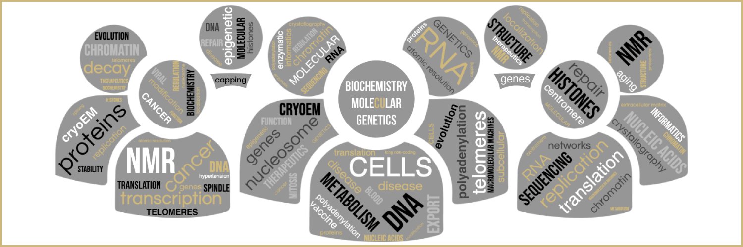 Department of Biochemistry and Molecular Genetics's banner